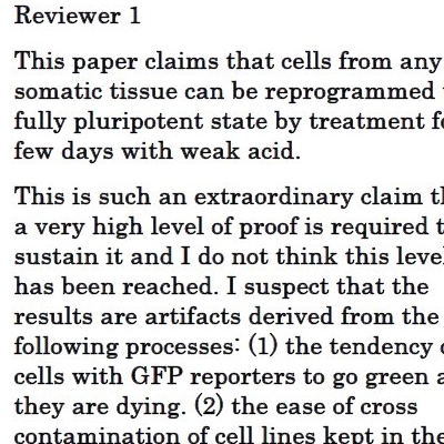 英語論文、英語レポート代行,英文レポート代行